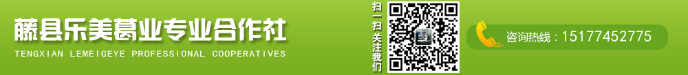 藤县乐美葛业专业合作社